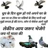 Aditya_Choudhary - @steven.tkaczyk52 - TikTok