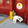 steventkaczyk725 - @steventkaczyk725 - TikTok