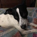Steven Toepfer - @toepfersteven - Instagram