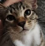 Steven Tompkins - Facebook
