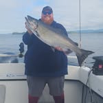 Steven Toner - @stevektoner - Instagram