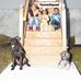 Toone Toone - Facebook