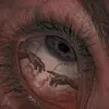 Steven Tow - @steven.tow - TikTok