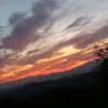 Steven Towery - @steventowery82 - TikTok