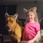 Steven Traylor - Facebook