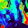 Steven Traylor - @steventraylor2 - TikTok