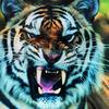 Animal Kingdom - @steventraynor3 - TikTok