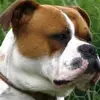 Steve Tremblay - @steve.tremblay40 - TikTok