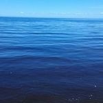 Steven Tremblay - @timinousteven65 - Instagram
