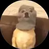 Steven Trinidad - @steventrinidad1 - TikTok