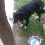 steven trottier - @steven_du_9780859 - Instagram