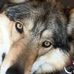 Steve Tryon - @slt52 - Instagram