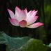 Steven Tsui - Facebook