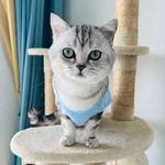 Steven Tsui - @steven_tsui_1226 - Instagram