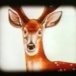 Steven Tsui - @_steven_tsui_ - Instagram
