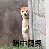 Steven Tsui - @user575652241 - TikTok