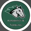 Stevenson University A&T - @stevenson.acrotumbling - TikTok