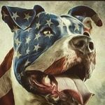 Steve Tupper - @steve.tupper.359 - Instagram