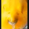 Steven Tupper - @steventupper776 - TikTok