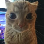 Garrett Steven Turnage - @scantmage - Instagram