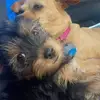 Steven Tuttle - @steven.tuttle1 - TikTok