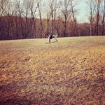 Steve Uhler - @stevieuhler - Instagram
