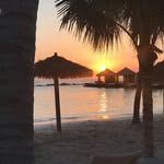 Steven Ungar - @steven.ungar.1 - Instagram