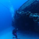 Steve Urso - @captsteveu - Instagram