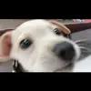 Steven Vail - @stevenvail124 - TikTok