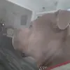 Steven Every - @steven.every - TikTok