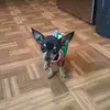 Steve Veltman - @steveveltman1 - TikTok