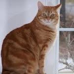 Steve Veltman - @steveveltman - Instagram