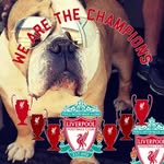 Steve Verity - @steve.verity1 - Instagram