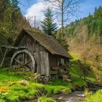 Steven Vertrees - Facebook