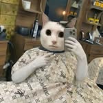 Steven Vigil - @stevenvigil98 - Instagram