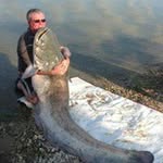 Steven Vine - @stevejv64 - Instagram