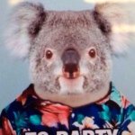 Steven Vining - @koalaking1 - Instagram