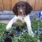 Steven Vipond - Facebook
