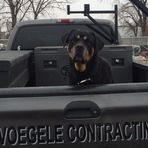Steve Voegele - Facebook