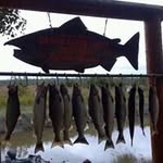 Steve Voth - @stevevoth - Instagram