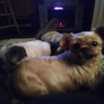 Steve Voyles - @steve.voyles.92 - Instagram
