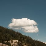 Steven Vu - @stevenvu____ - Instagram