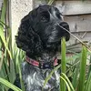 Steve2909 - @stevenwain48 - TikTok