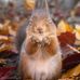 Steve Wain - Facebook
