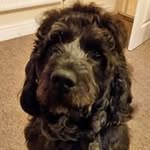Steven Wallis - @steven.wallis.1958 - Instagram