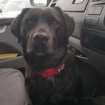 Steve Walpole - @walpole_steve - Instagram