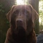 Steven Wardle - Facebook