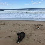 Steve Warnick - @warnicksteve - Instagram
