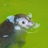 Steven Washburn - @stevenwashburn123 - TikTok