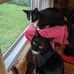Steve Wasik - Facebook